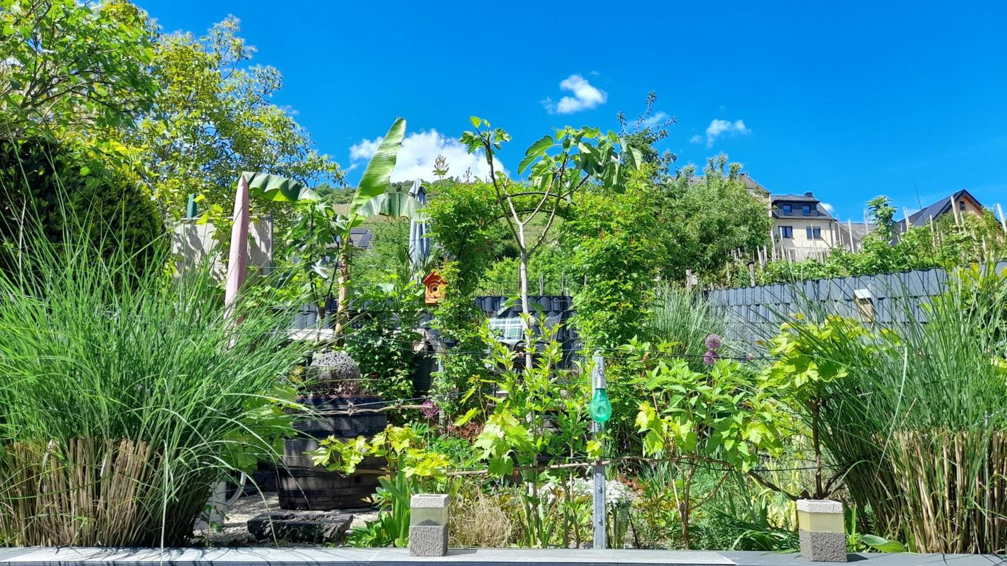 Ferienhaus Heimes 克洛滕 外观 照片