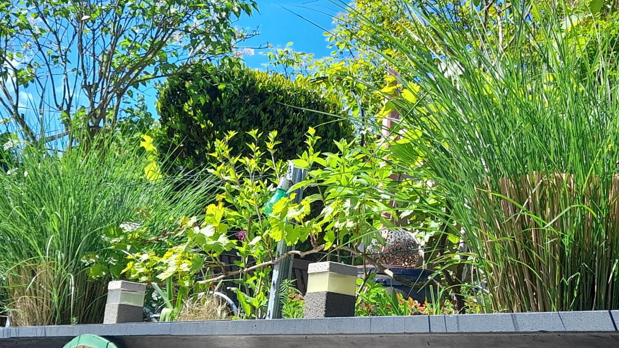 Ferienhaus Heimes 克洛滕 外观 照片